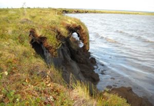 Eroding bank of a thermokarst lake in Old Crow Flats, Yk.